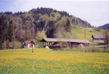 Luzern building. Photo by Lisette Keating May, 2005